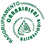 Raggruppamento Carabinieri per la Biodiversità